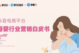 蝉妈妈：抖音电商平台母婴行业营销白皮书-2025最新seo资料