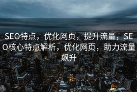 SEO特点，优化网页，提升流量，SEO核心特点解析，优化网页，助力流量飙升