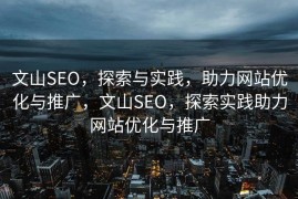 文山SEO，探索与实践，助力网站优化与推广，文山SEO，探索实践助力网站优化与推广