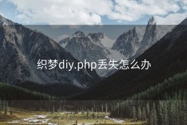 织梦diy.php丢失怎么办