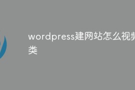 wordpress建网站怎么视频分类