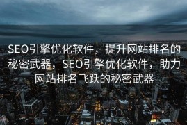 SEO引擎优化软件，提升网站排名的秘密武器，SEO引擎优化软件，助力网站排名飞跃的秘密武器