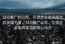SEO推广的公司，引领企业走向成功的关键力量，SEO推广公司，引领企业走向成功的核心动力