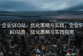 企业SEO站，优化策略与实践，企业SEO站点，优化策略与实践指南