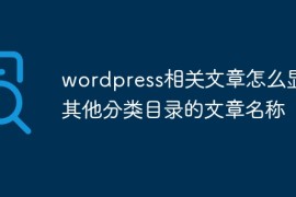 wordpress相关文章怎么显示其他分类目录的文章名称