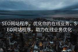 SEO网站程序，优化你的在线业务，SEO网站程序，助力在线业务优化
