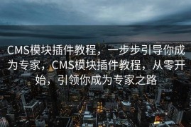 CMS模块插件教程，一步步引导你成为专家，CMS模块插件教程，从零开始，引领你成为专家之路