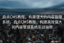 启点CMS教程，构建强大的内容管理系统，启点CMS教程，构建高效强大的内容管理系统实战指南