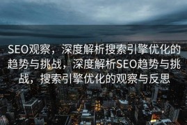 SEO观察，深度解析搜索引擎优化的趋势与挑战，深度解析SEO趋势与挑战，搜索引擎优化的观察与反思
