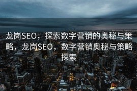 龙岗SEO，探索数字营销的奥秘与策略，龙岗SEO，数字营销奥秘与策略探索