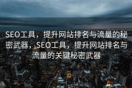 SEO工具，提升网站排名与流量的秘密武器，SEO工具，提升网站排名与流量的关键秘密武器