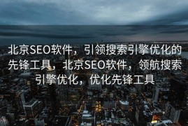北京SEO软件，引领搜索引擎优化的先锋工具，北京SEO软件，领航搜索引擎优化，优化先锋工具