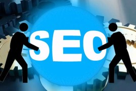 网站域名的选择会影响SEO优化效果-2025最新seo资料