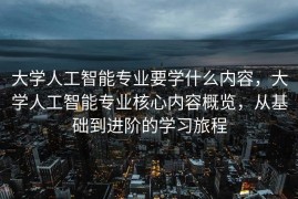 大学人工智能专业要学什么内容，大学人工智能专业核心内容概览，从基础到进阶的学习旅程