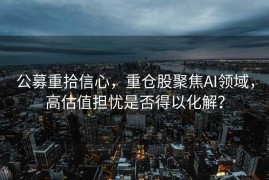 公募重拾信心，重仓股聚焦AI领域，高估值担忧是否得以化解？