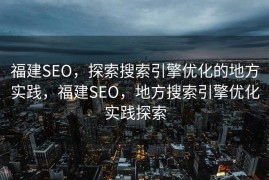 福建SEO，探索搜索引擎优化的地方实践，福建SEO，地方搜索引擎优化实践探索