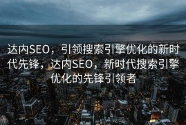 达内SEO，引领搜索引擎优化的新时代先锋，达内SEO，新时代搜索引擎优化的先锋引领者