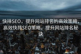 快排SEO，提升网站排名的高效策略，高效快排SEO策略，提升网站排名秘诀