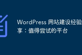 WordPress 网站建设经验分享：值得尝试的平台
