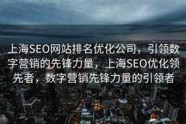 上海SEO网站排名优化公司，引领数字营销的先锋力量，上海SEO优化领先者，数字营销先锋力量的引领者
