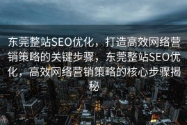 东莞整站SEO优化，打造高效网络营销策略的关键步骤，东莞整站SEO优化，高效网络营销策略的核心步骤揭秘