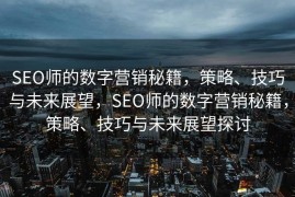 SEO师的数字营销秘籍，策略、技巧与未来展望，SEO师的数字营销秘籍，策略、技巧与未来展望探讨