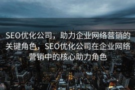 SEO优化公司，助力企业网络营销的关键角色，SEO优化公司在企业网络营销中的核心助力角色