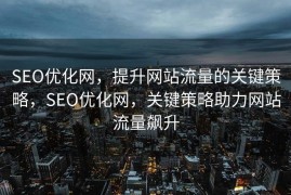 SEO优化网，提升网站流量的关键策略，SEO优化网，关键策略助力网站流量飙升