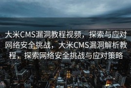 大米CMS漏洞教程视频，探索与应对网络安全挑战，大米CMS漏洞解析教程，探索网络安全挑战与应对策略