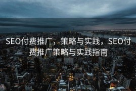 SEO付费推广，策略与实践，SEO付费推广策略与实践指南