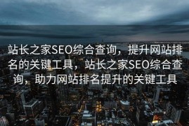 站长之家SEO综合查询，提升网站排名的关键工具，站长之家SEO综合查询，助力网站排名提升的关键工具