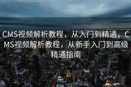 CMS视频解析教程，从入门到精通，CMS视频解析教程，从新手入门到高级精通指南