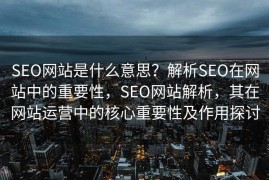 SEO网站是什么意思？解析SEO在网站中的重要性，SEO网站解析，其在网站运营中的核心重要性及作用探讨