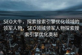 SEO大牛，探索搜索引擎优化领域的领军人物，SEO领域领军人物探索搜索引擎优化奥秘