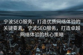 宁波SEO服务，打造优质网络体验的关键要素，宁波SEO服务，打造卓越网络体验的核心策略