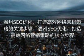 温州SEO优化，打造高效网络营销策略的关键步骤，温州SEO优化，打造高效网络营销策略的核心步骤