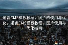 迅睿CMS模板教程，图片的使用与优化，迅睿CMS模板教程，图片使用与优化指南