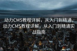 动力CMS教程详解，从入门到精通，动力CMS教程详解，从入门到精通实战指南