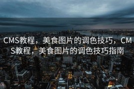 CMS教程，美食图片的调色技巧，CMS教程，美食图片的调色技巧指南