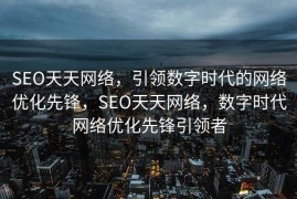 SEO天天网络，引领数字时代的网络优化先锋，SEO天天网络，数字时代网络优化先锋引领者