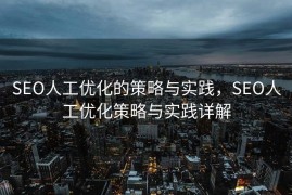 SEO人工优化的策略与实践，SEO人工优化策略与实践详解