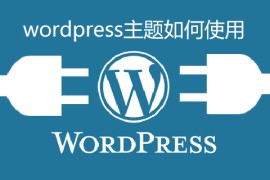wordpress主题如何使用