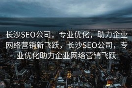 长沙SEO公司，专业优化，助力企业网络营销新飞跃，长沙SEO公司，专业优化助力企业网络营销飞跃