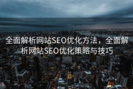 全面解析网站SEO优化方法，全面解析网站SEO优化策略与技巧