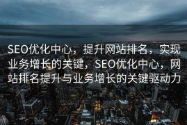 SEO优化中心，提升网站排名，实现业务增长的关键，SEO优化中心，网站排名提升与业务增长的关键驱动力