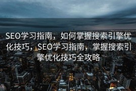 SEO学习指南，如何掌握搜索引擎优化技巧，SEO学习指南，掌握搜索引擎优化技巧全攻略