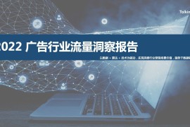 TalkingData：2022年广告行业流量洞察报告-2025最新seo资料