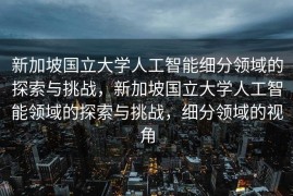 新加坡国立大学人工智能细分领域的探索与挑战，新加坡国立大学人工智能领域的探索与挑战，细分领域的视角