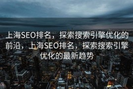 上海SEO排名，探索搜索引擎优化的前沿，上海SEO排名，探索搜索引擎优化的最新趋势