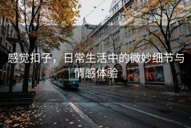 感觉扣子，日常生活中的微妙细节与情感体验
